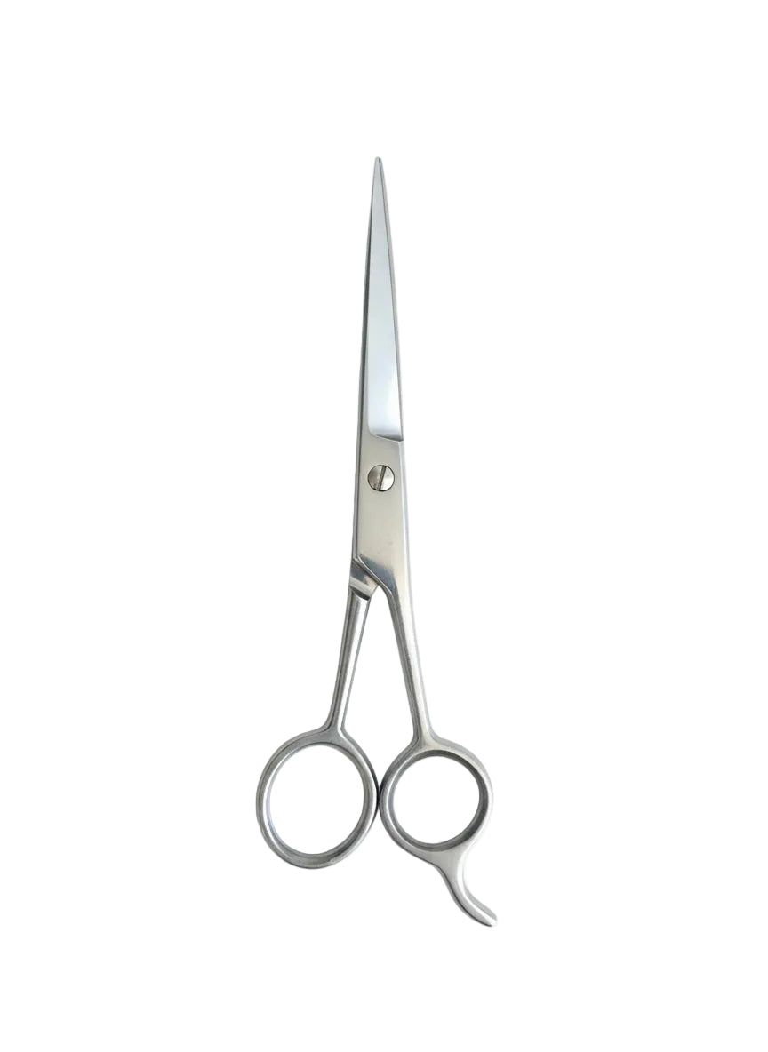 Scissors With Rest